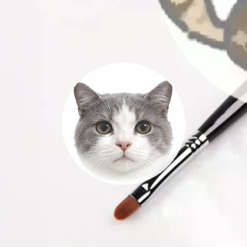 Eyeshadow Lip Gloss Makeup Bru - Beauty Makeup Eyeshadow review and price