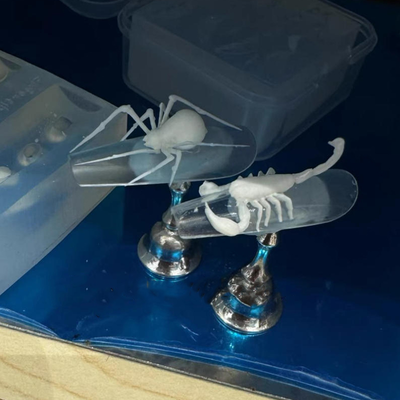 3D Spider Scorpion Silicone Na - Nail Art Stamping Kit review and price